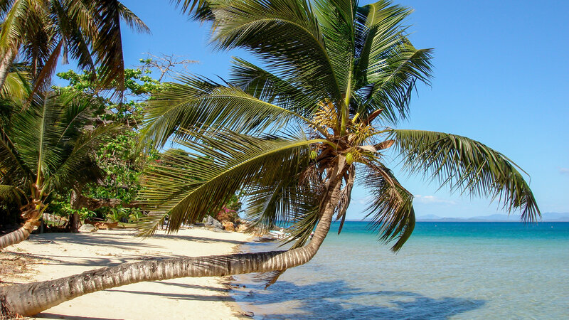 Madagaskar-nody-komba-shutterstock_2017356092