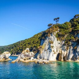 Nieuw-Zeeland-Abel-Tasman-Seal-Bridge-6