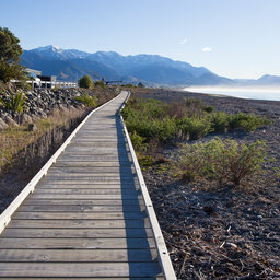 Nieuw-Zeeland-Kaikoura-Algemeen-shutterstock_306430943