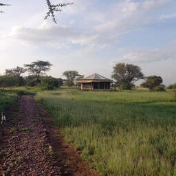 Tanzania-serengeti-sound-of-silence-11