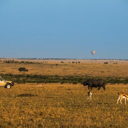 Kenia-Masai-Mara-Sarova-mara-game-camp-safari