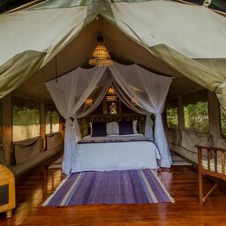 Kenia-Masai-Mara-Sarova-mara-game-camp-tenten3